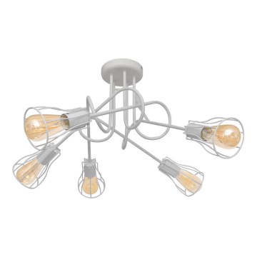 Żyrandol natynkowy OXFORD 5xE27/15W/230V biały